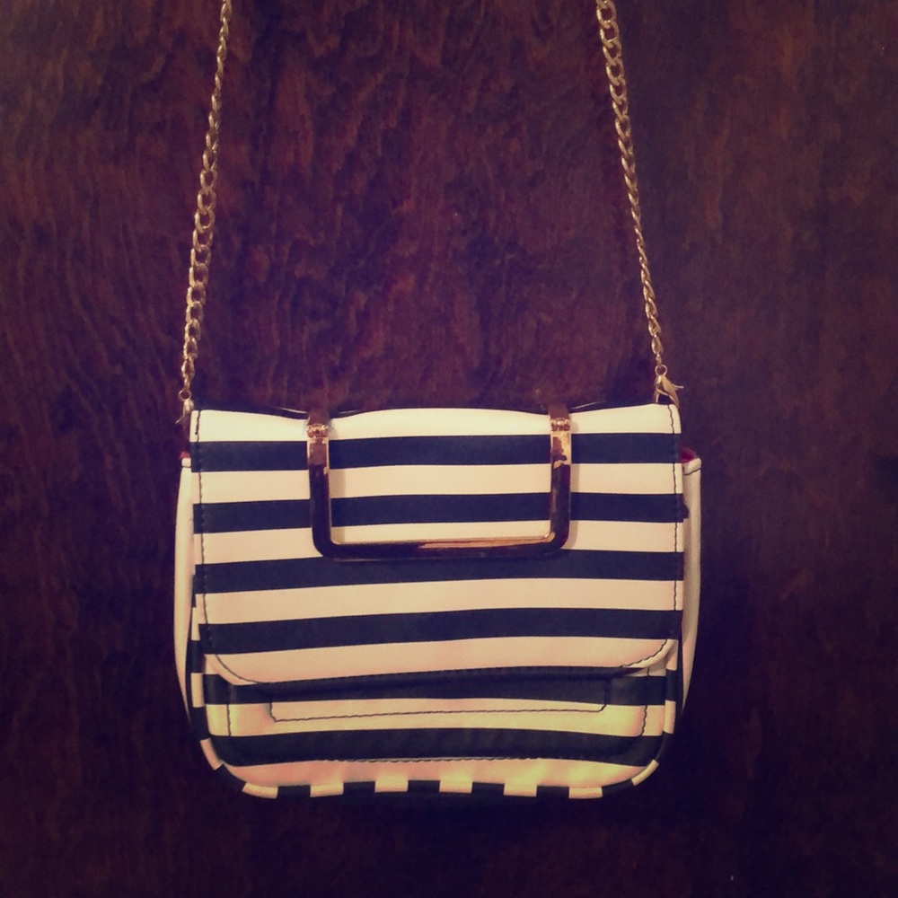 Fun Black and White Striped Purse